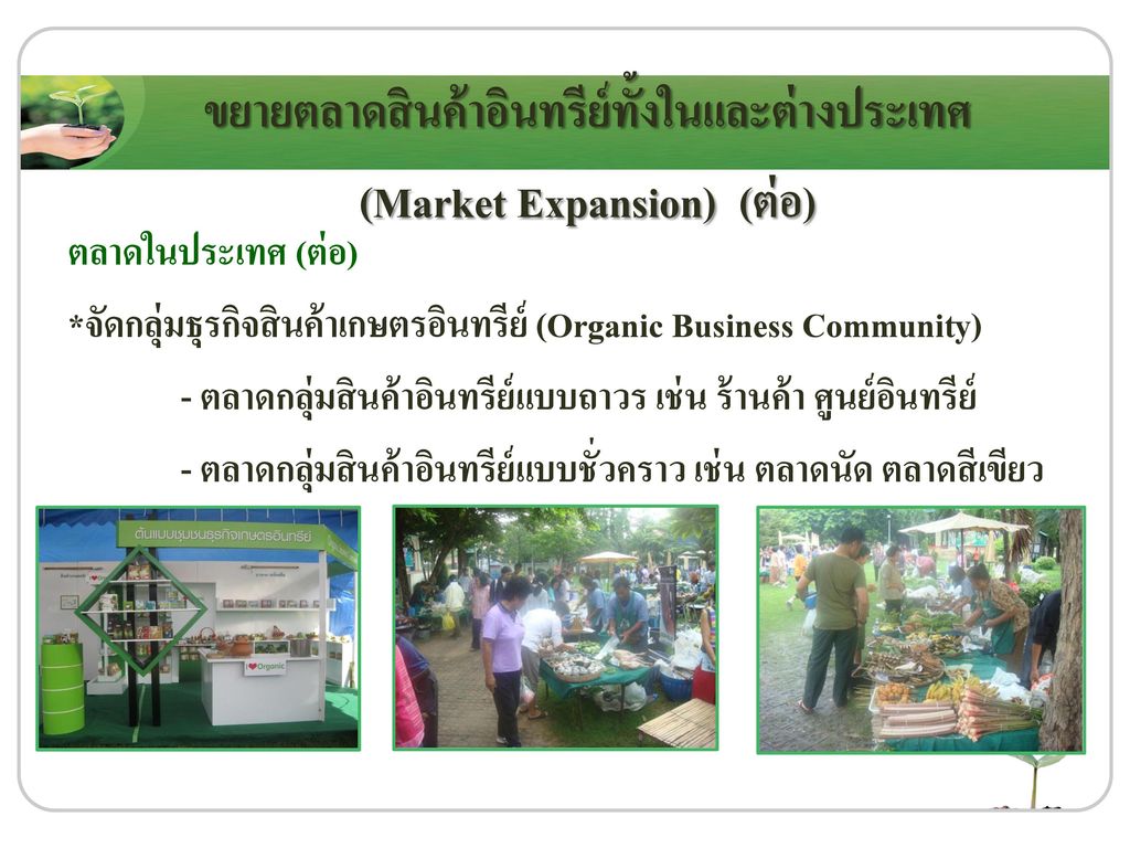 ขยายตลาดสินค้าอินทรีย์ทั้งในและต่างประเทศ (Market Expansion) (ต่อ)