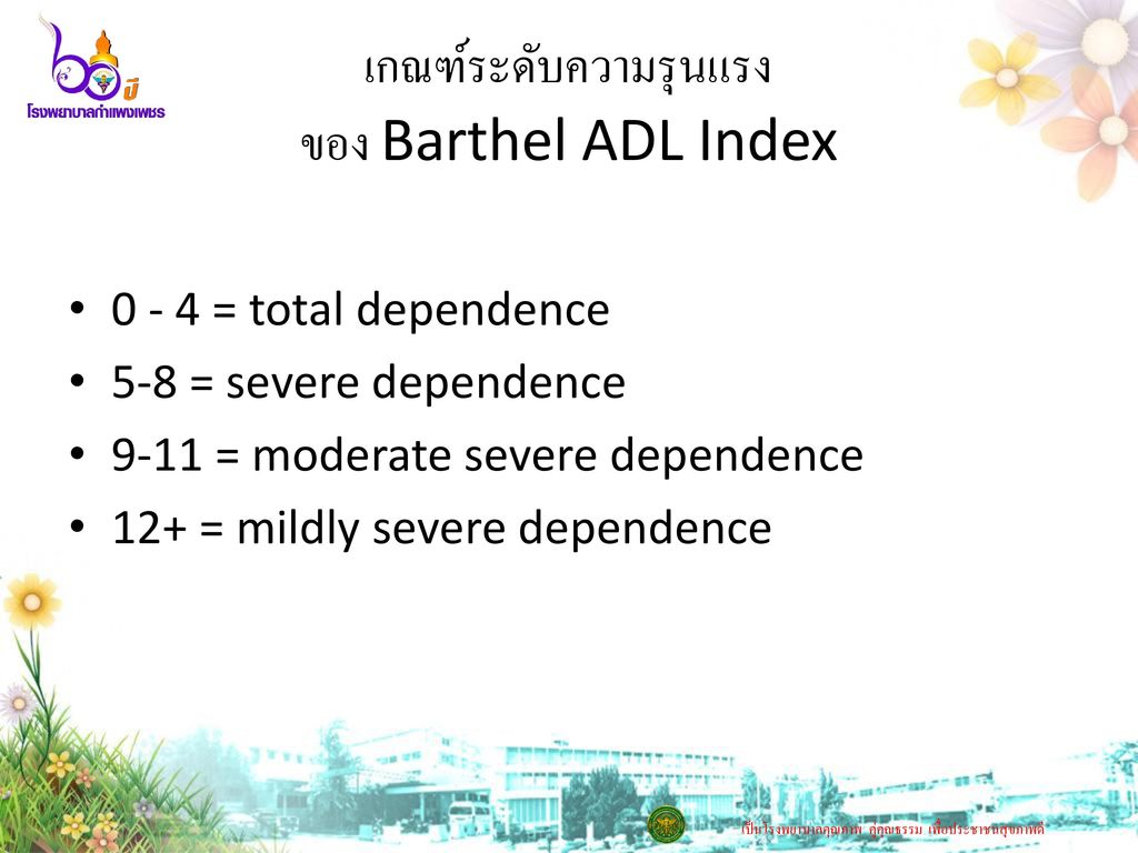เกณฑ์ระดับความรุนแรง ของ Barthel ADL Index