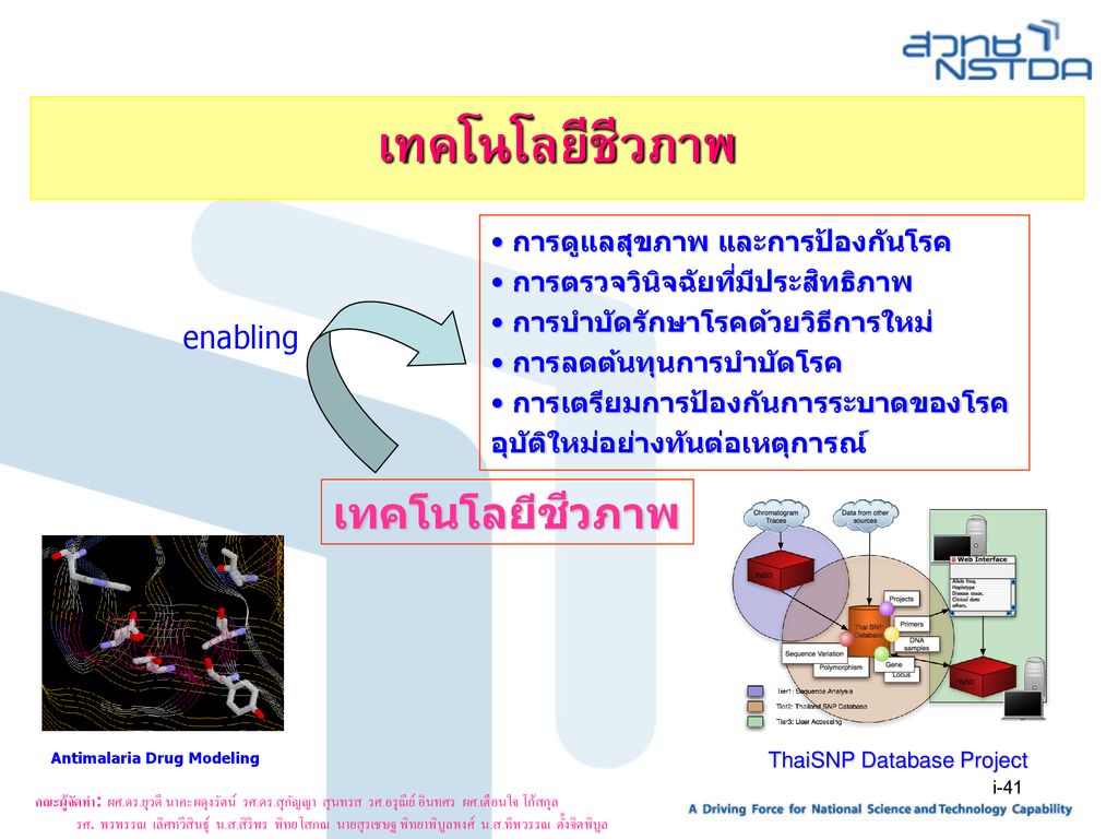 ThaiSNP Database Project