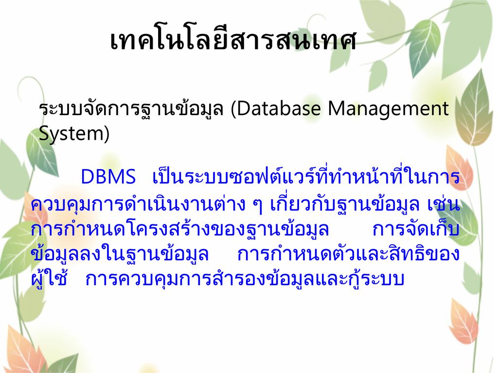 ระบบจัดการฐานข้อมูล (Database Management System)