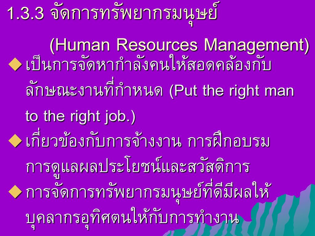 1.3.3 จัดการทรัพยากรมนุษย์ (Human Resources Management)