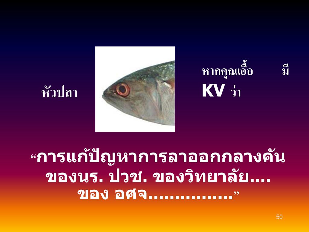 หัวปลา หากคุณเอื้อ มี KV ว่า