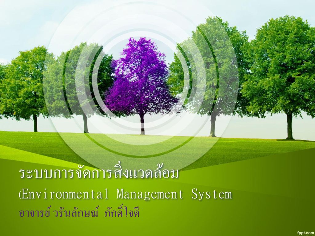 ระบบการจัดการสิ่งแวดล้อม (Environmental Management System