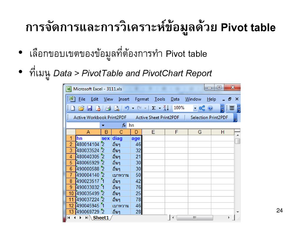 การจัดการและการวิเคราะห์ข้อมูลด้วย Pivot table