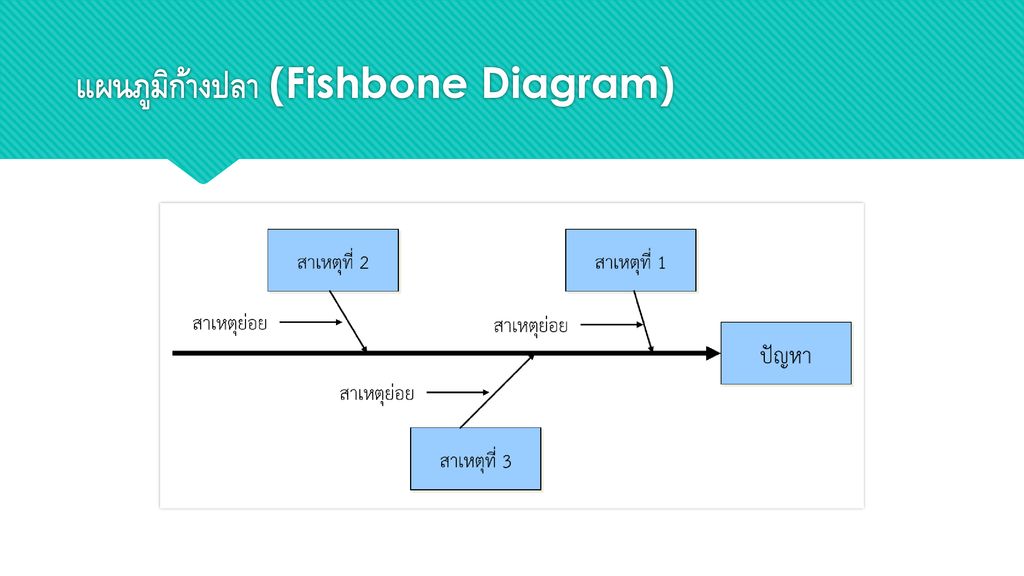 แผนภูมิก้างปลา (Fishbone Diagram)