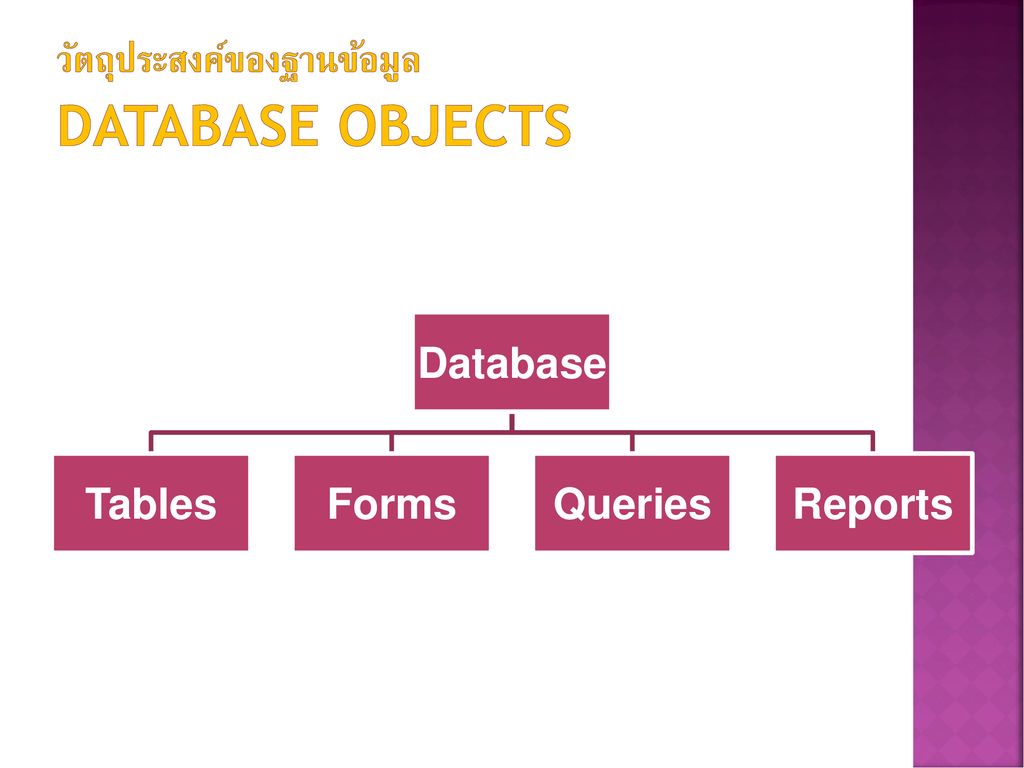 วัตถุประสงค์ของฐานข้อมูล Database Objects