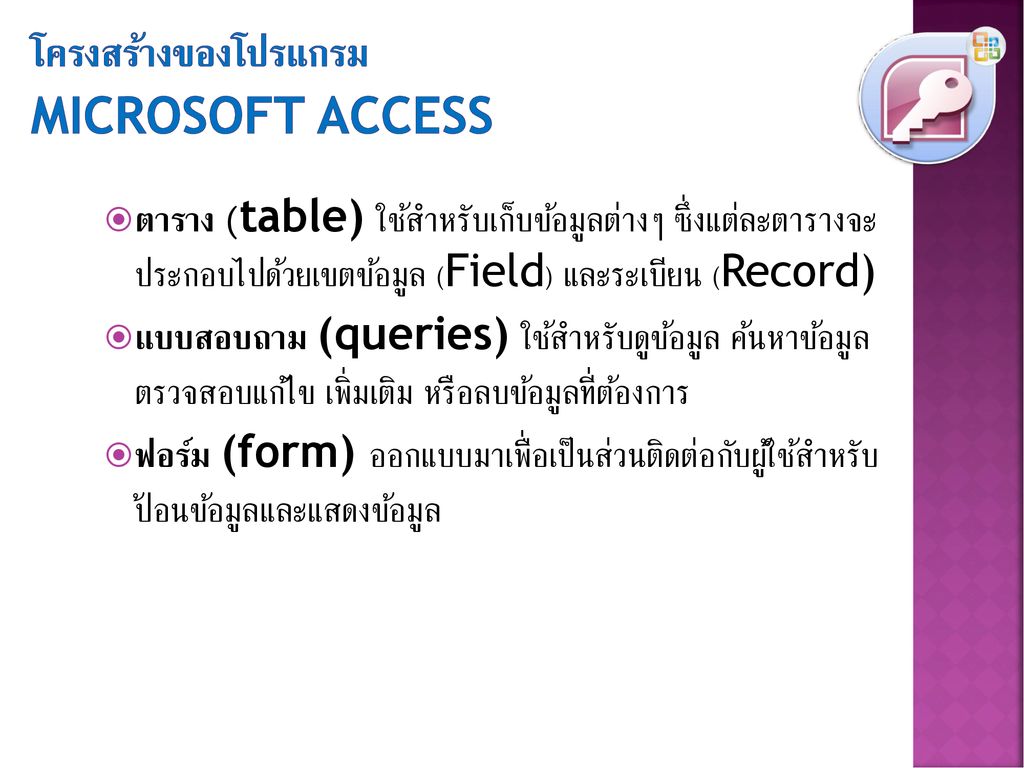 โครงสร้างของโปรแกรม Microsoft Access