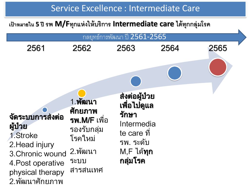 Service Excellence : Intermediate Care