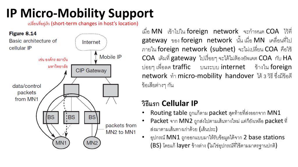 IP Micro-Mobility Support