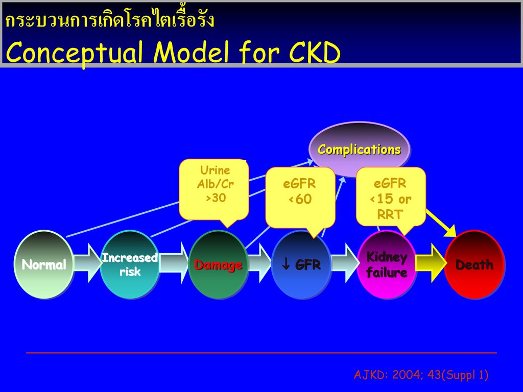 กระบวนการเกิดโรคไตเรื้อรัง Conceptual Model for CKD