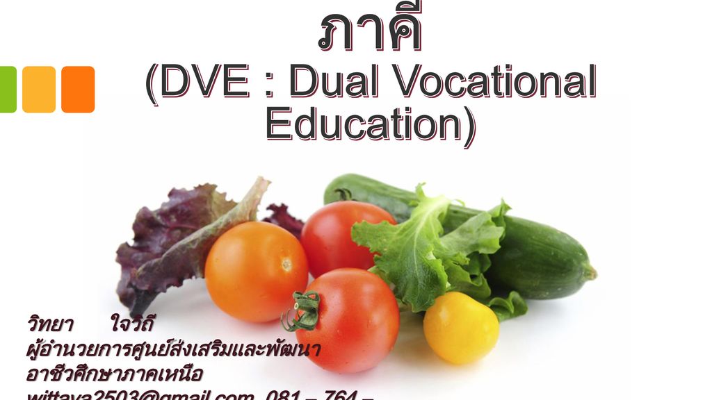 การอาชีวศึกษาระบบทวิภาคี (DVE : Dual Vocational Education)