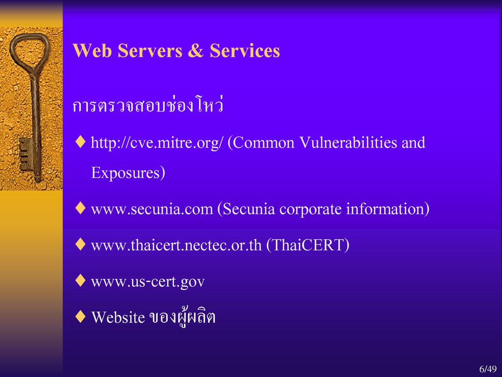 Web Servers & Services การตรวจสอบช่องโหว่