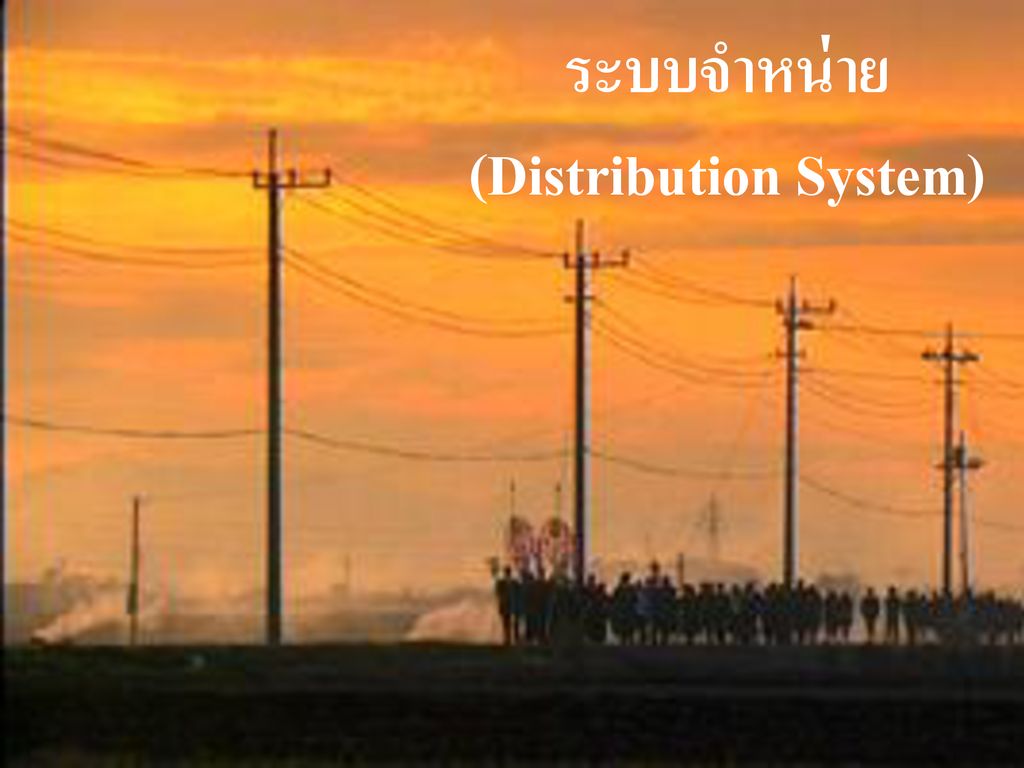 (Distribution System)
