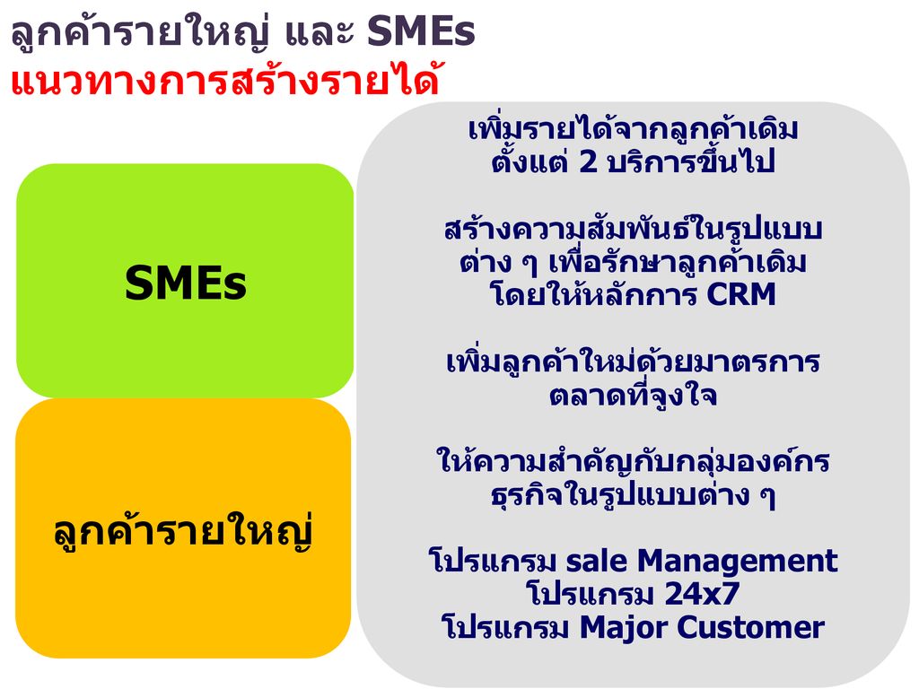 SMEs ลูกค้ารายใหญ่ และ SMEs แนวทางการสร้างรายได้ ลูกค้ารายใหญ่