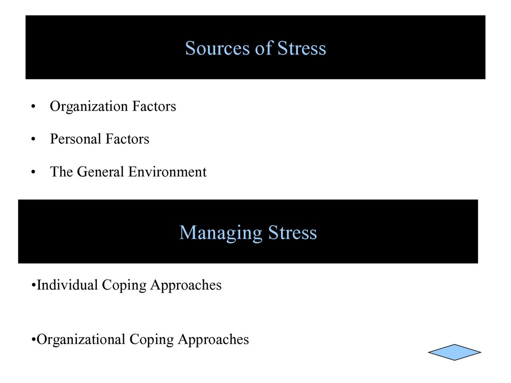 Sources of Stress Managing Stress Organization Factors