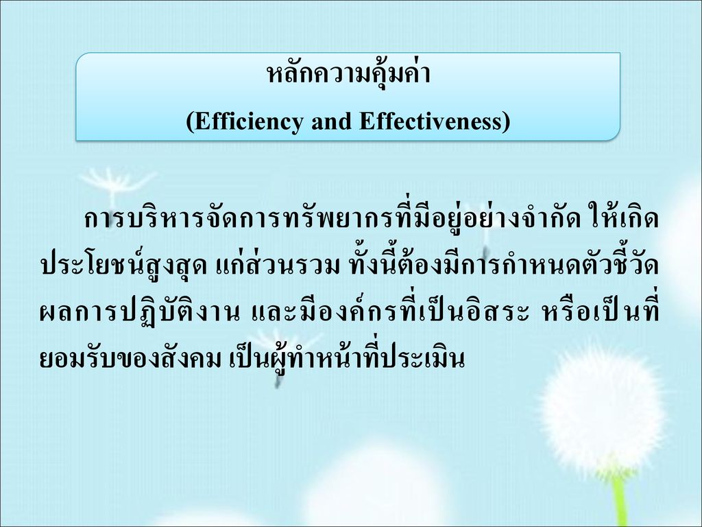 (Efficiency and Effectiveness)