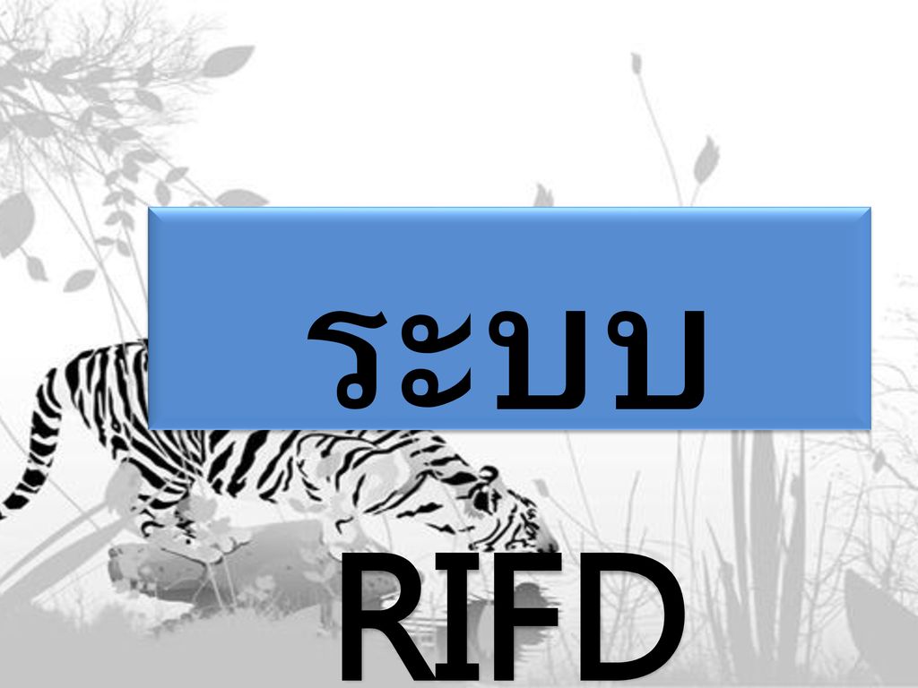 ระบบ RIFD