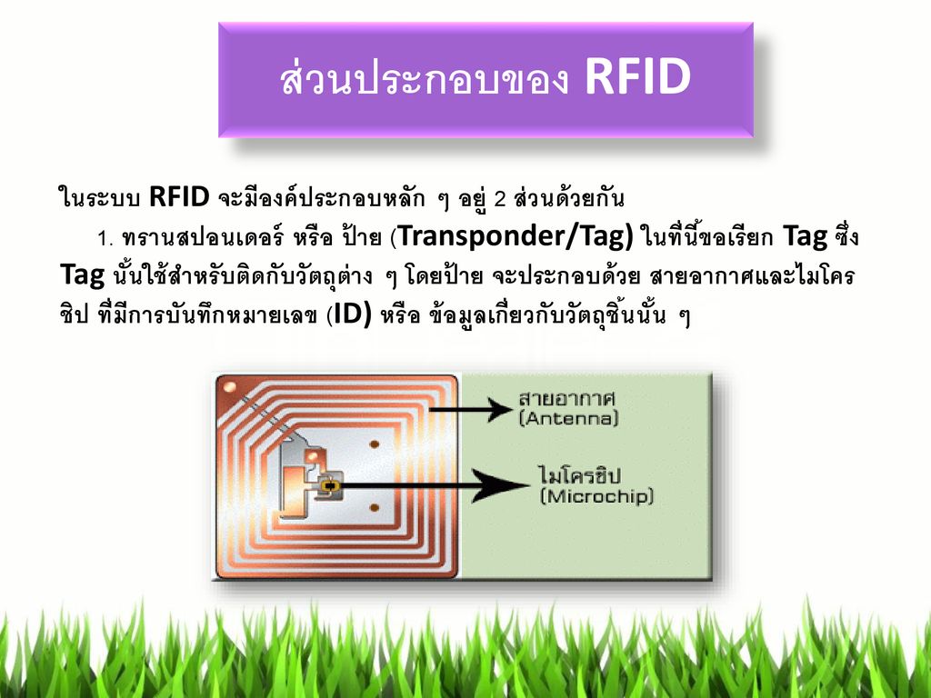 ส่วนประกอบของ RFID ในระบบ RFID จะมีองค์ประกอบหลัก ๆ อยู่ 2 ส่วนด้วยกัน