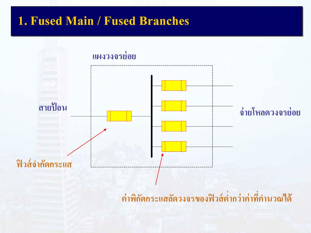 1. Fused Main / Fused Branches