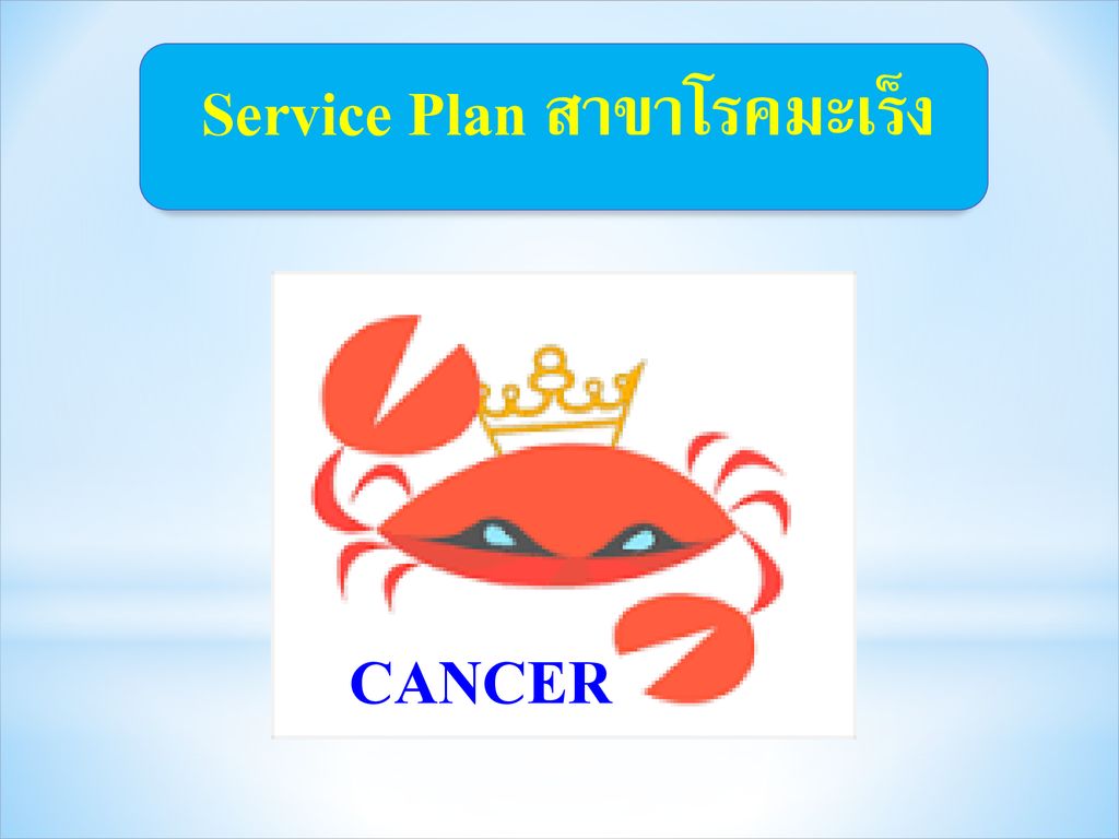 Service Plan สาขาโรคมะเร็ง