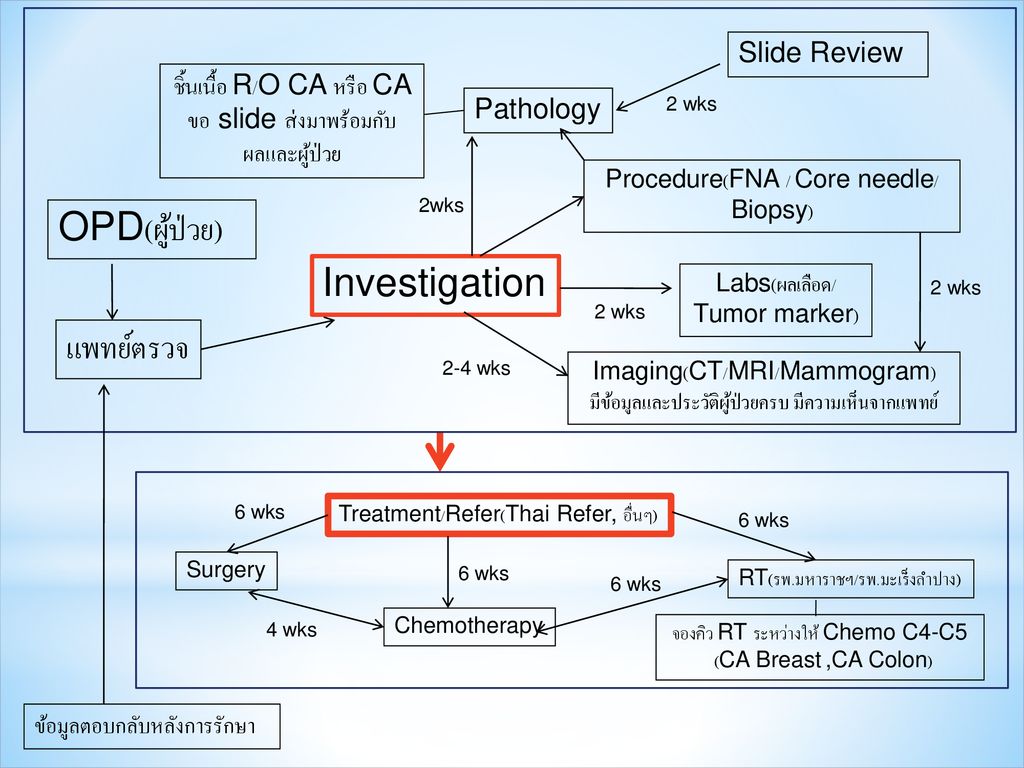 OPD(ผู้ป่วย) Investigation แพทย์ตรวจ Slide Review