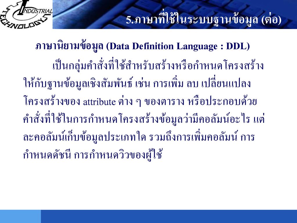ภาษานิยามข้อมูล (Data Definition Language : DDL)