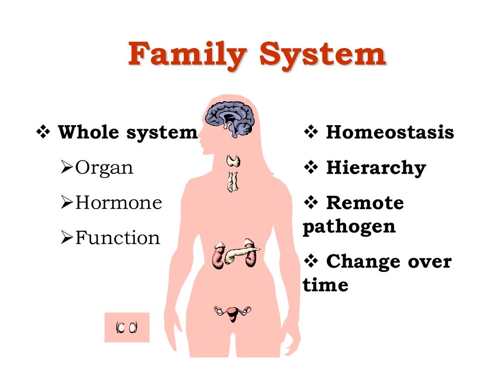 Family System Whole system Organ Hormone Function Homeostasis
