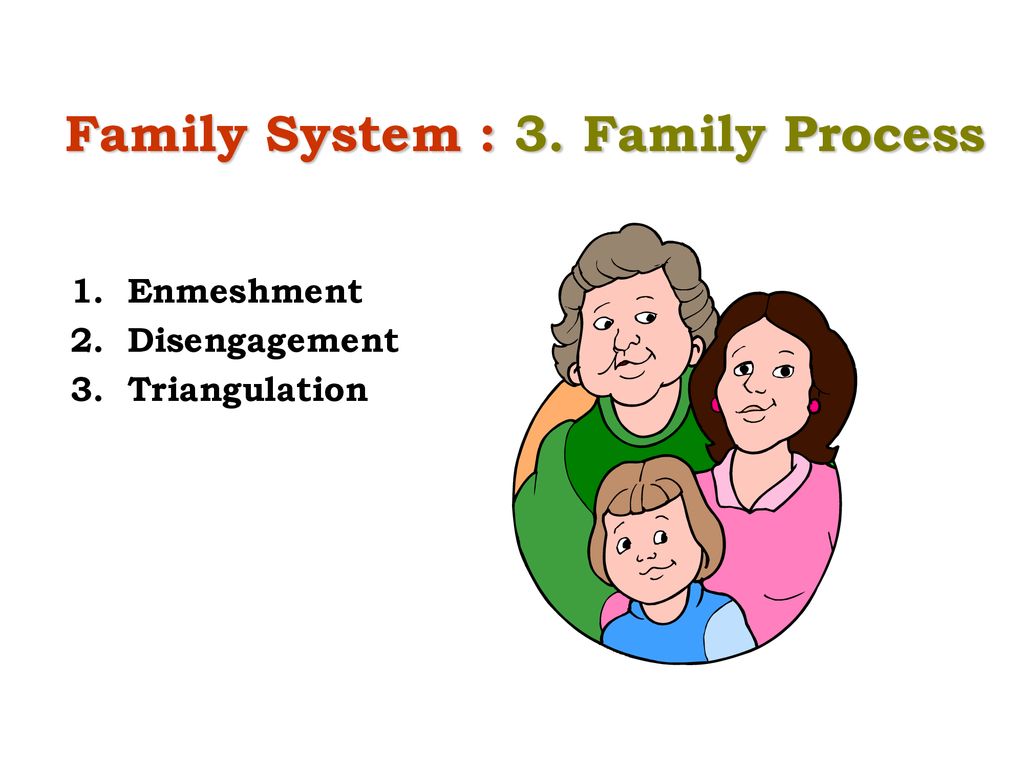 Family System : 3. Family Process