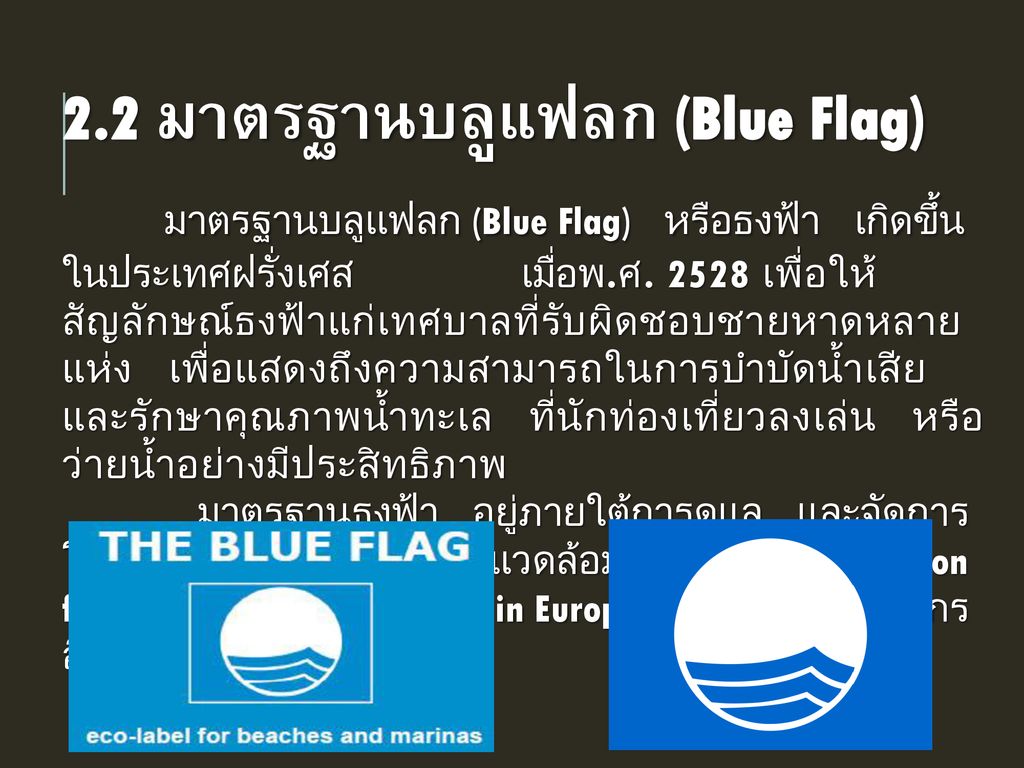 2.2 มาตรฐานบลูแฟลก (Blue Flag)