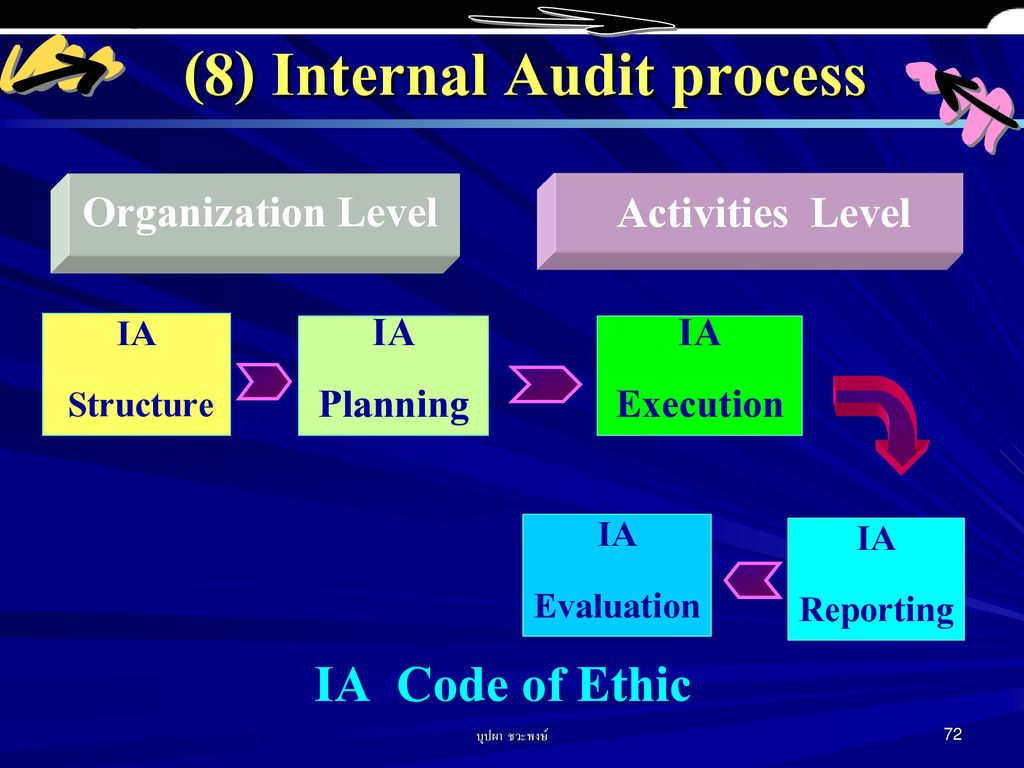 (8) Internal Audit process