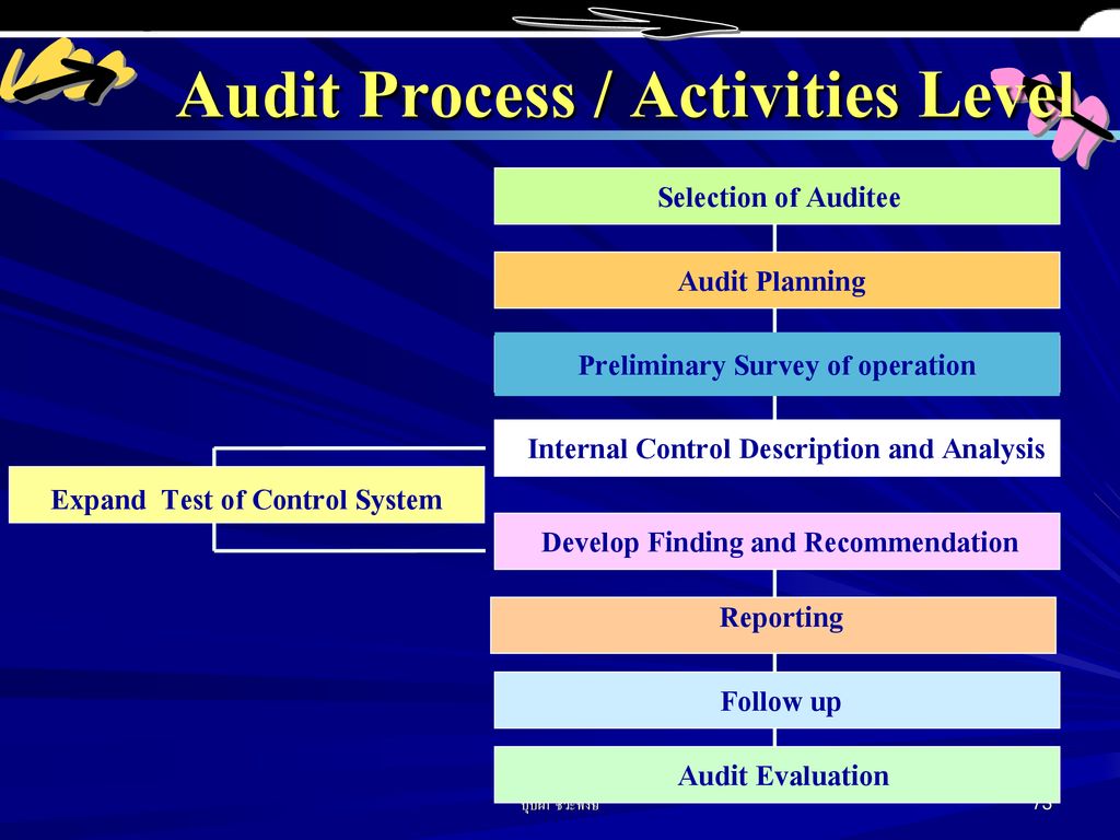 Audit Process / Activities Level