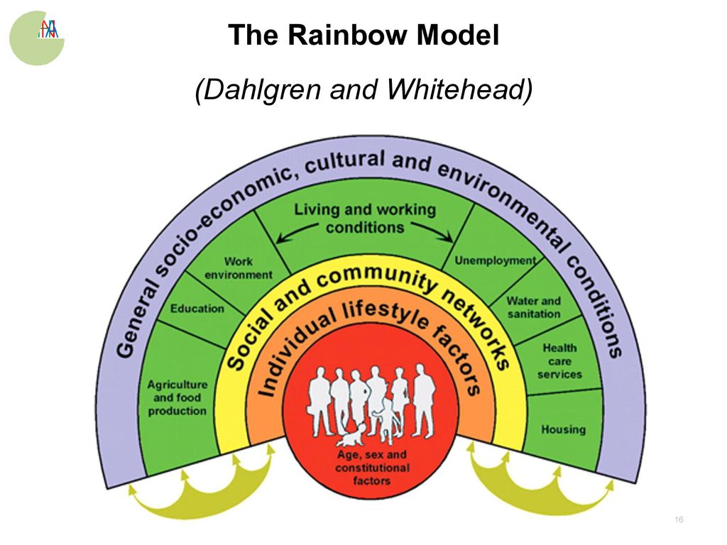 The Rainbow Model (Dahlgren and Whitehead)