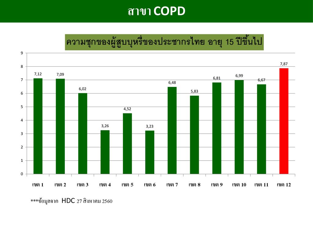สาขา COPD ***ข้อมูลจาก HDC 27 สิงหาคม 2560