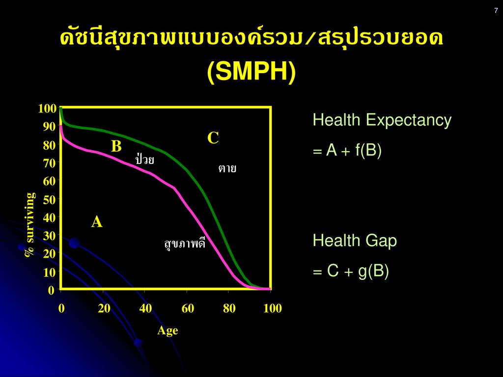 ดัชนีสุขภาพแบบองค์รวม/สรุปรวบยอด (SMPH)