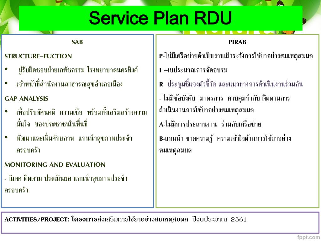 Service Plan RDU SAB STRUCTURE-FUCTION