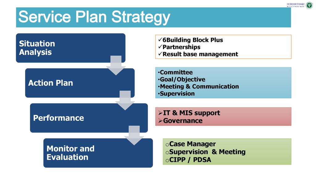 Service Plan Strategy Situation Analysis Action Plan Performance