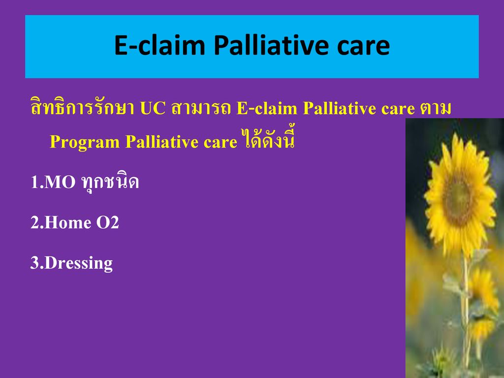 E-claim Palliative care