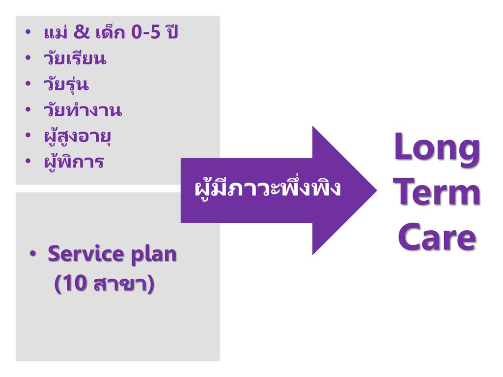 Long Term Care ผู้มีภาวะพึ่งพิง Service plan (10 สาขา)