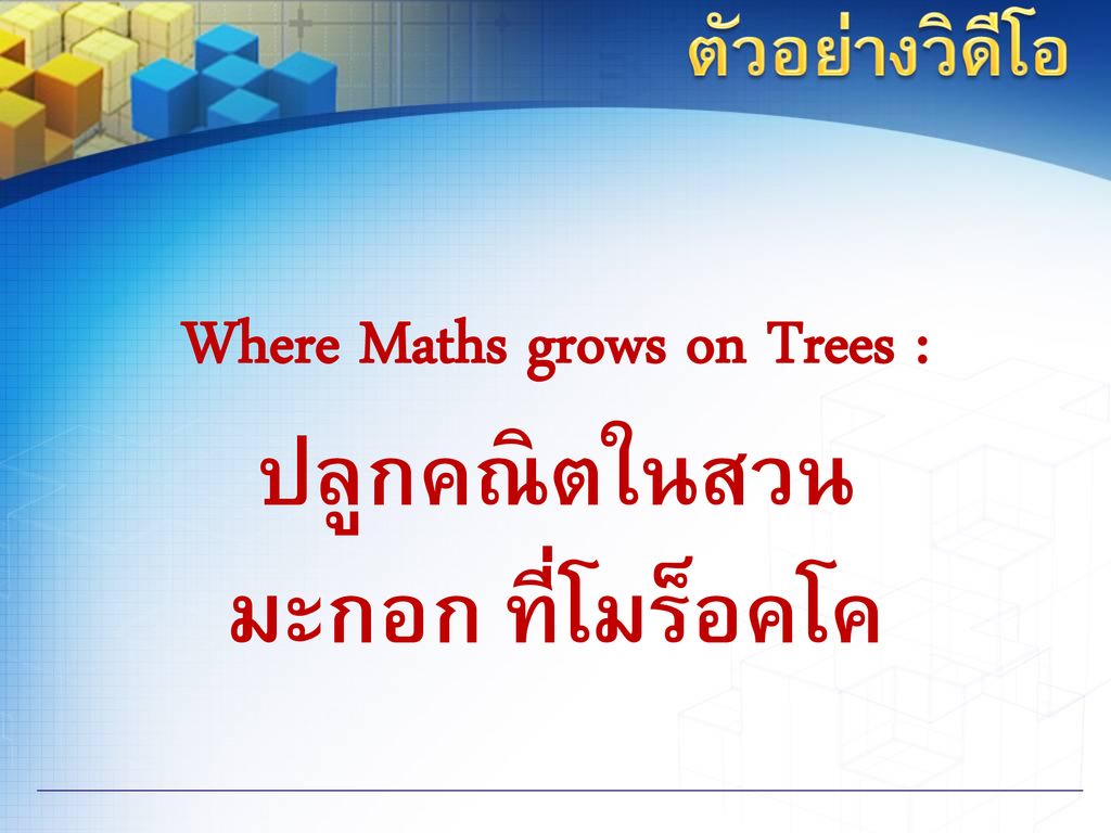 Where Maths grows on Trees : ปลูกคณิตในสวนมะกอก ที่โมร็อคโค