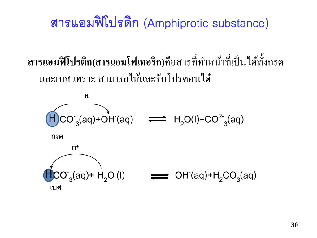 สารแอมฟิโปรติก (Amphiprotic substance)