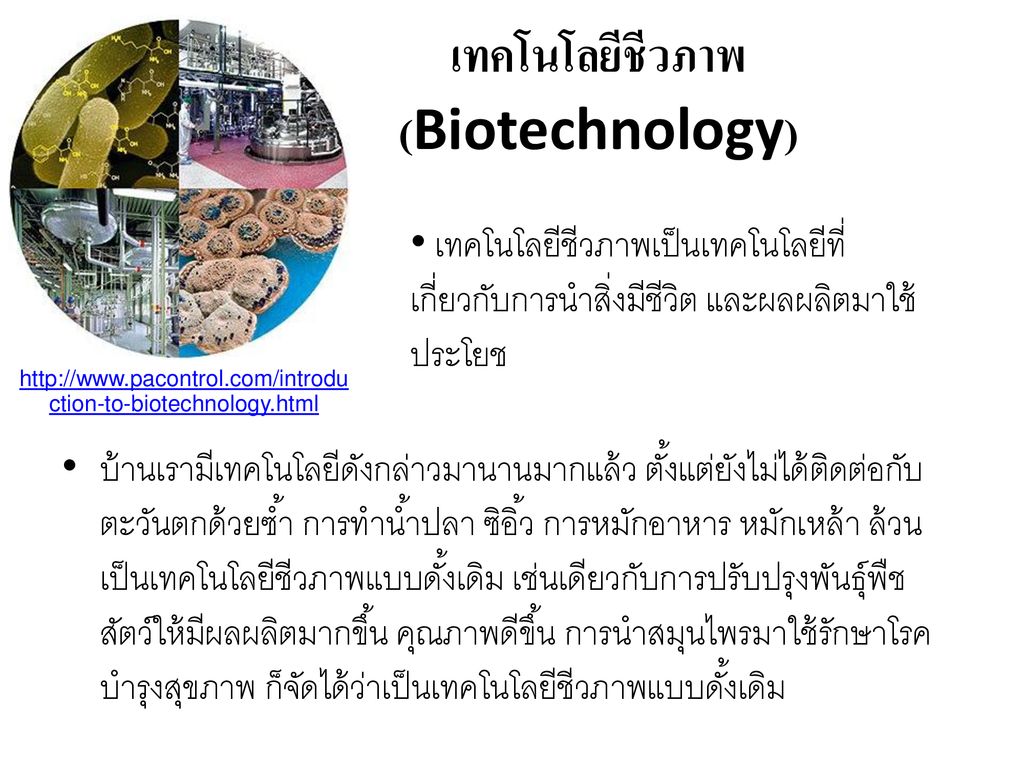 เทคโนโลยีชีวภาพ (Biotechnology)