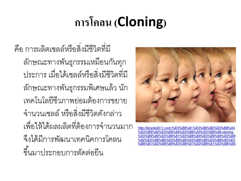 การโคลน (Cloning)