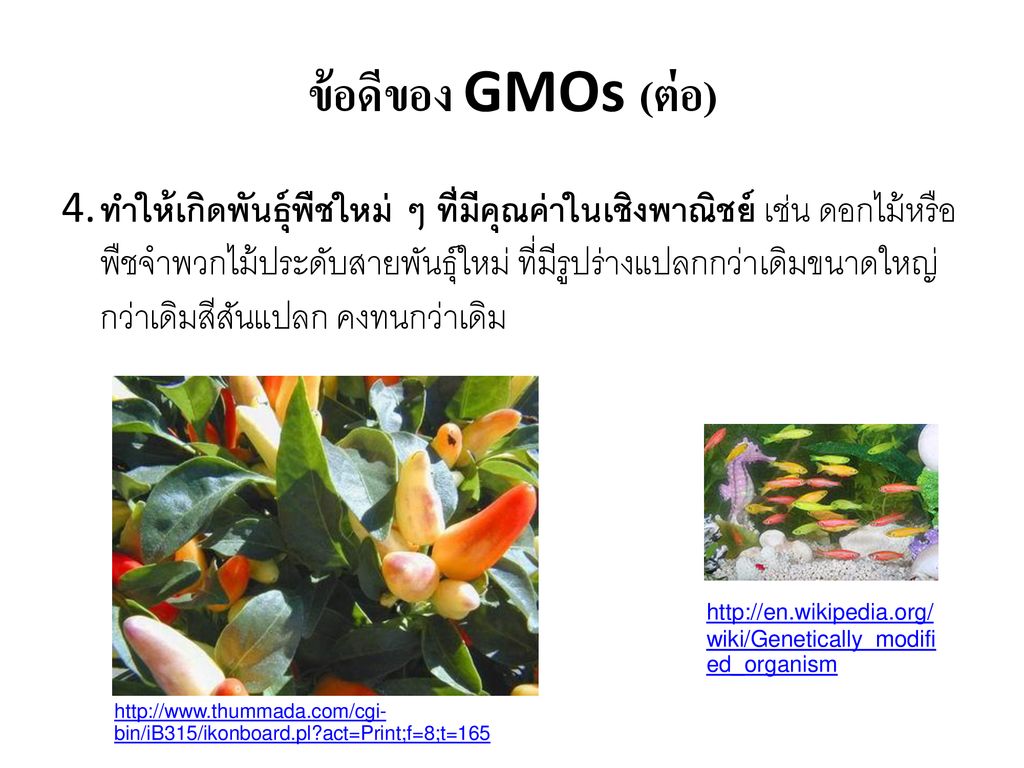 ข้อดีของ GMOs (ต่อ)