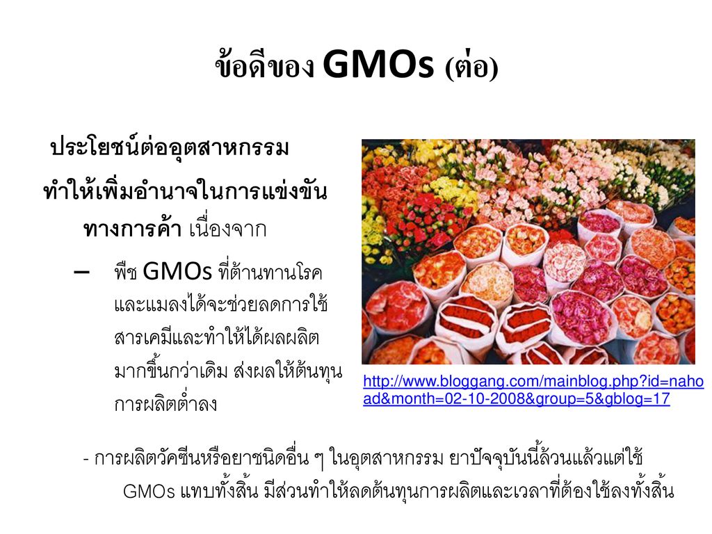 ข้อดีของ GMOs (ต่อ) ประโยชน์ต่ออุตสาหกรรม
