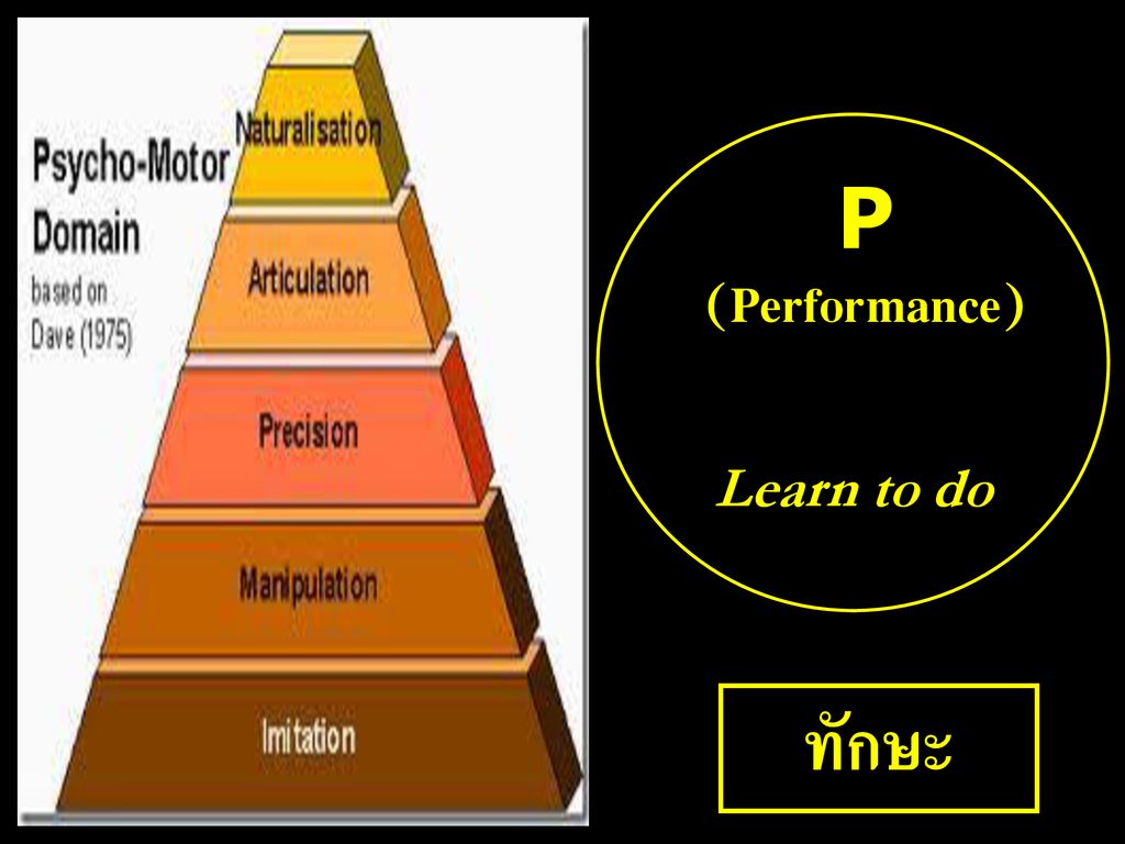 P (Performance) Learn to do ทักษะ
