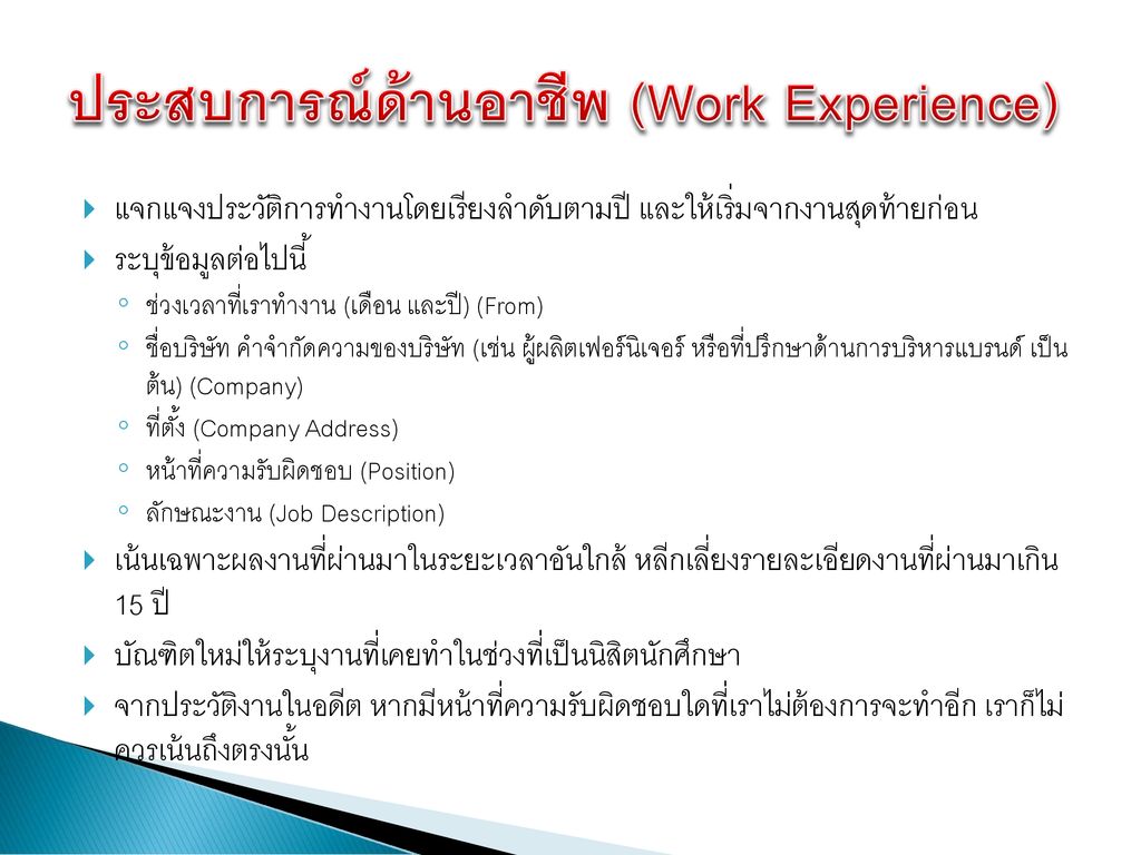 ประสบการณ์ด้านอาชีพ (Work Experience)