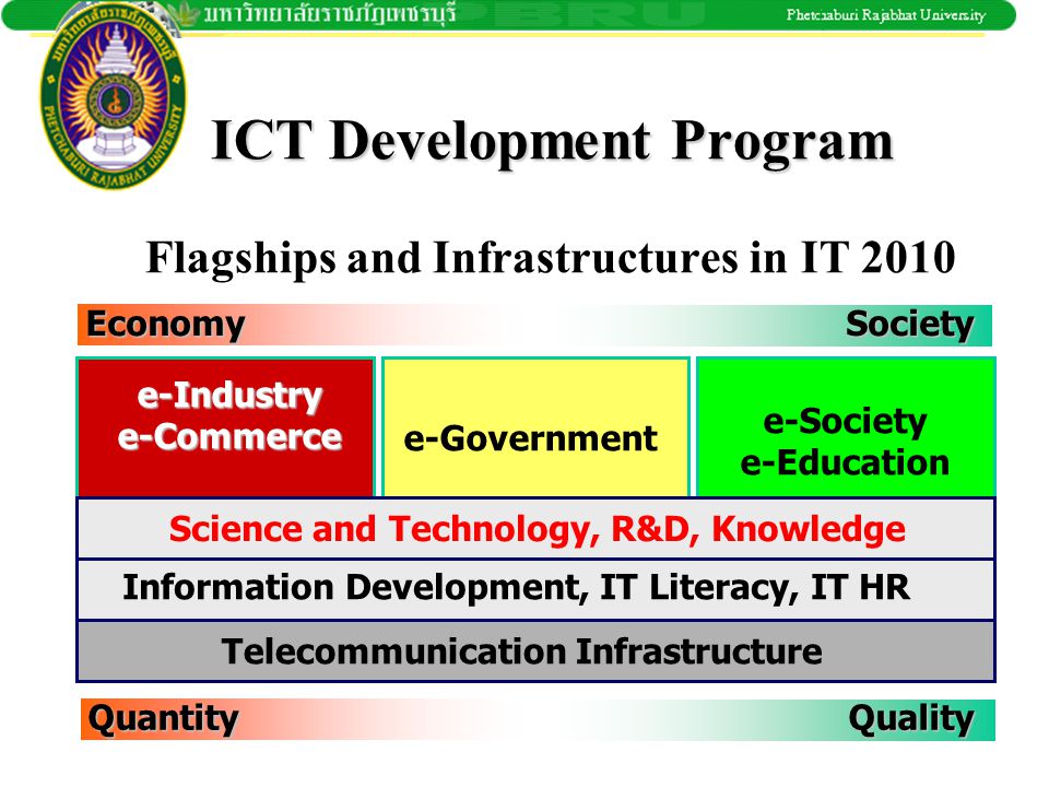 ICT Development Program Flagships and Infrastructures in IT 2010