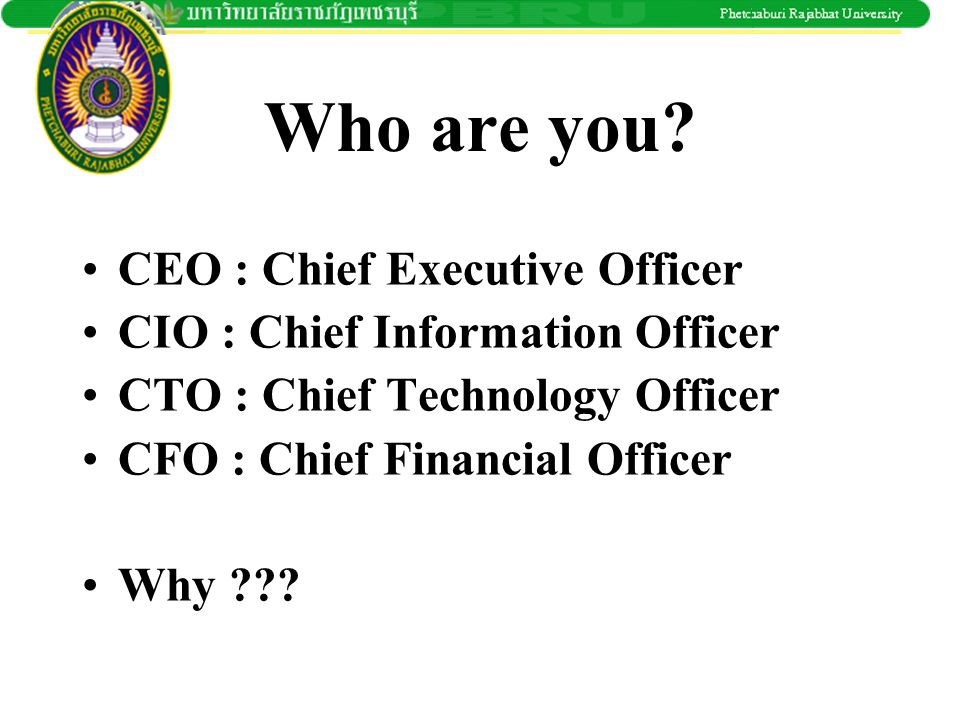 Who are you CEO : Chief Executive Officer