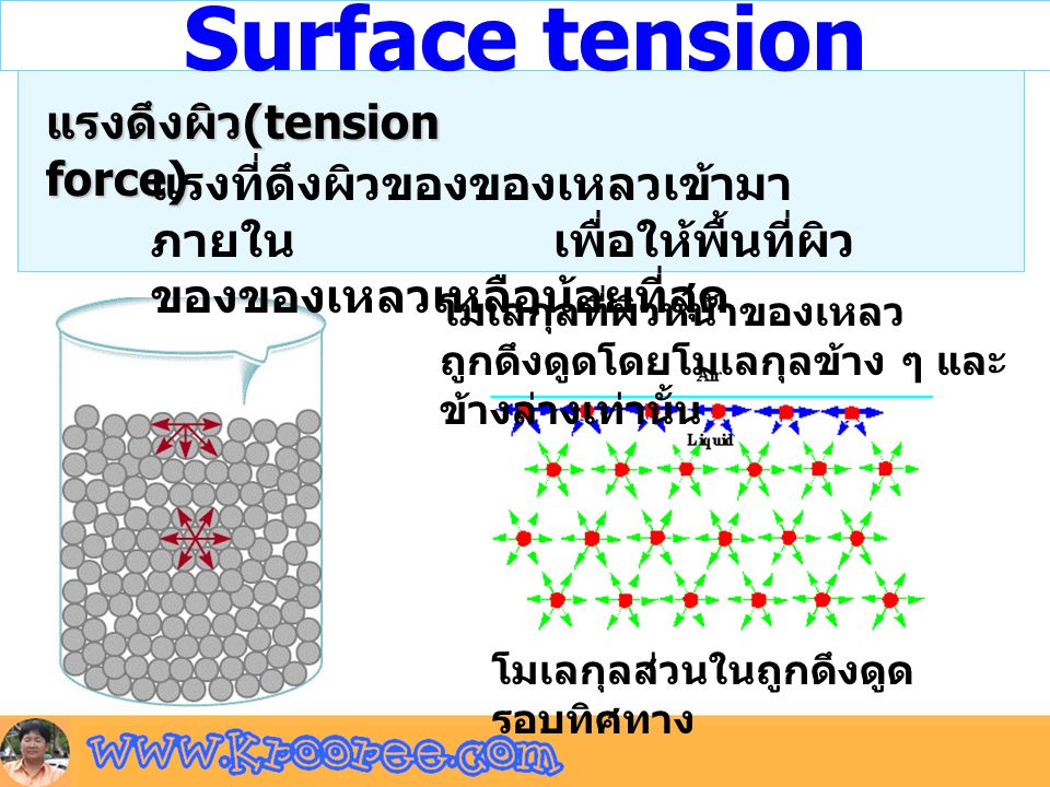 Surface tension แรงดึงผิว(tension force)