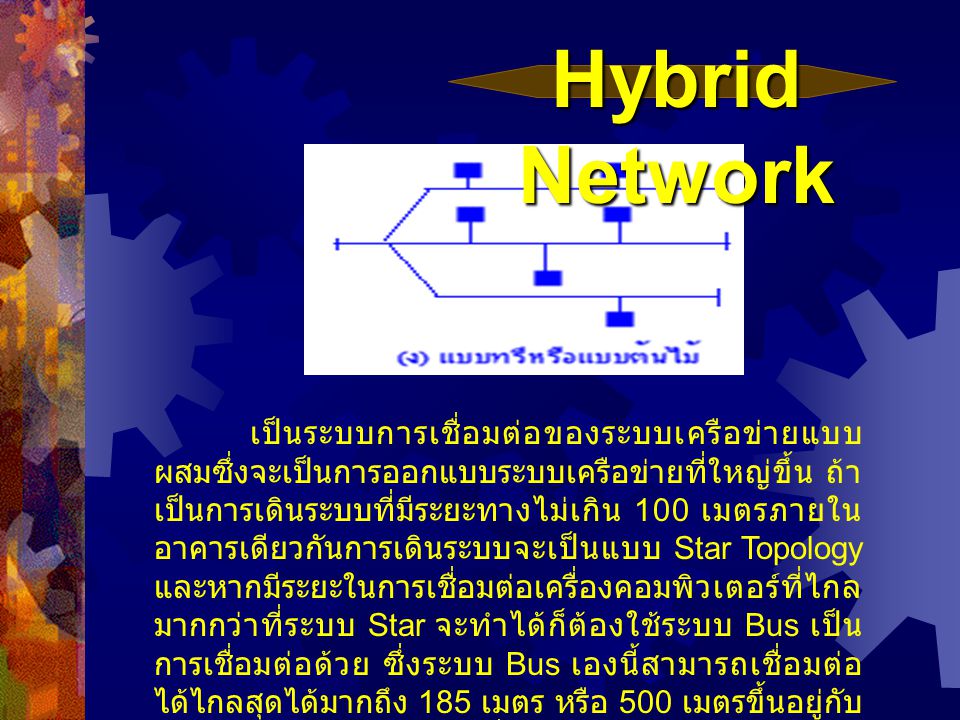 Hybrid Network
